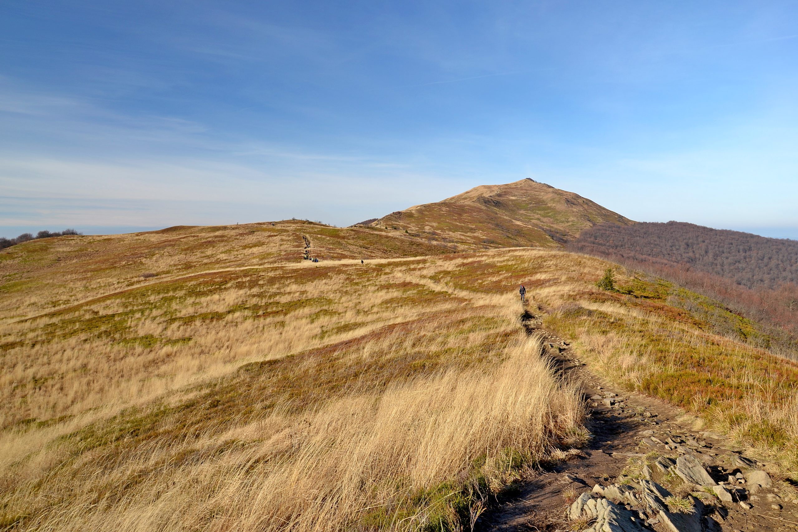 Połonina Wetlińska i Smerek, Bieszczady