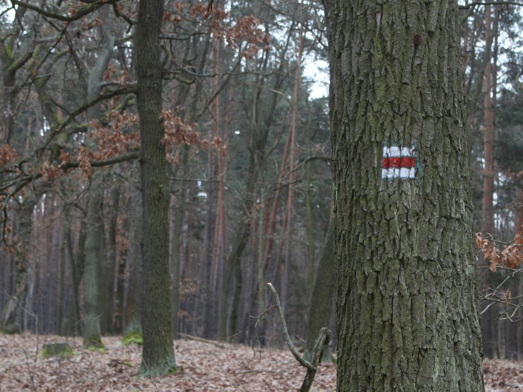 Szlak Turystyczny Czerwony