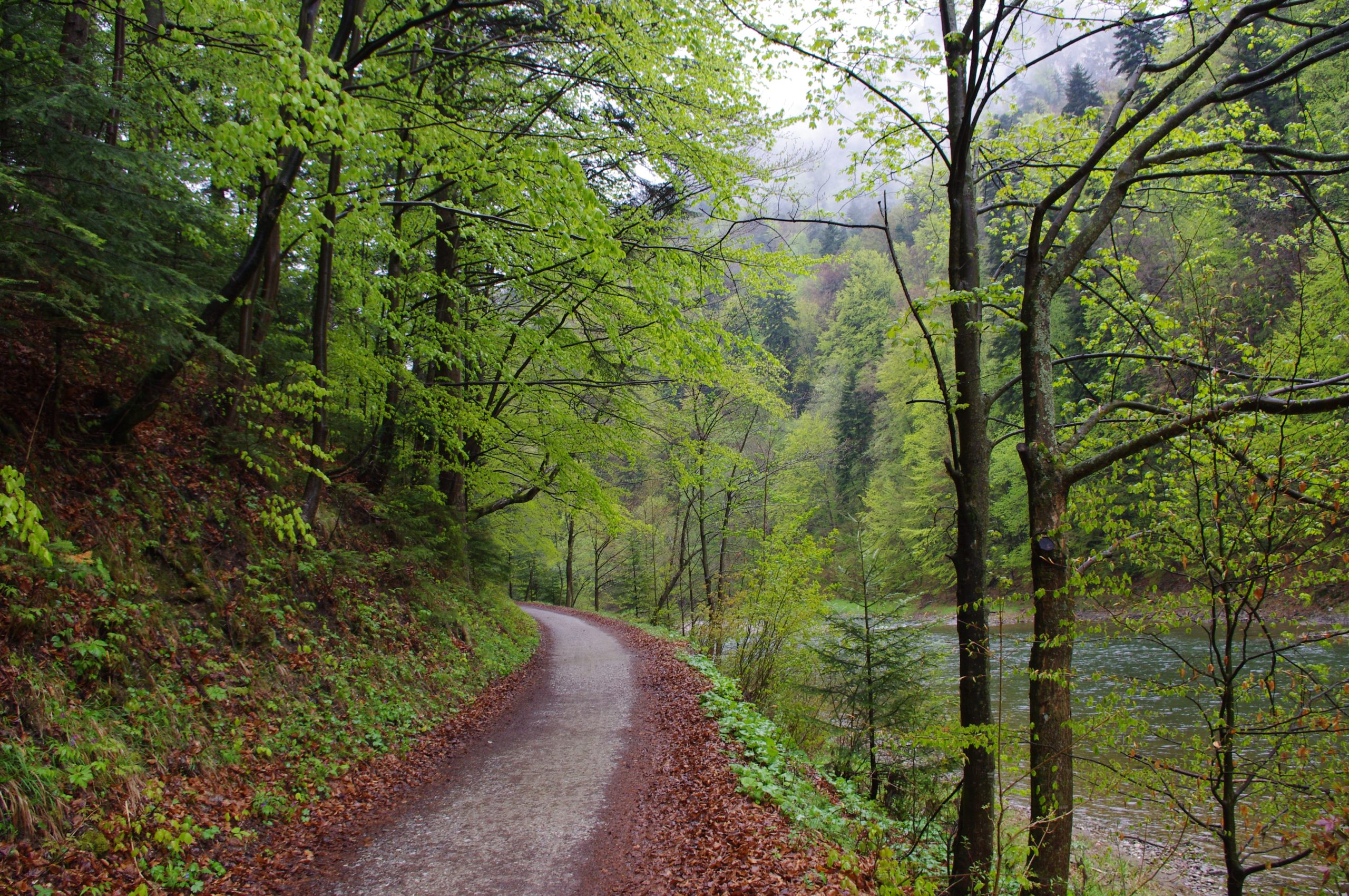 Pienińska Droga, Pieniny