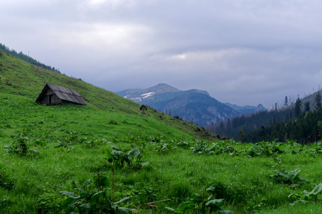 Dolina Lejowa, Tatry Zachodnie
