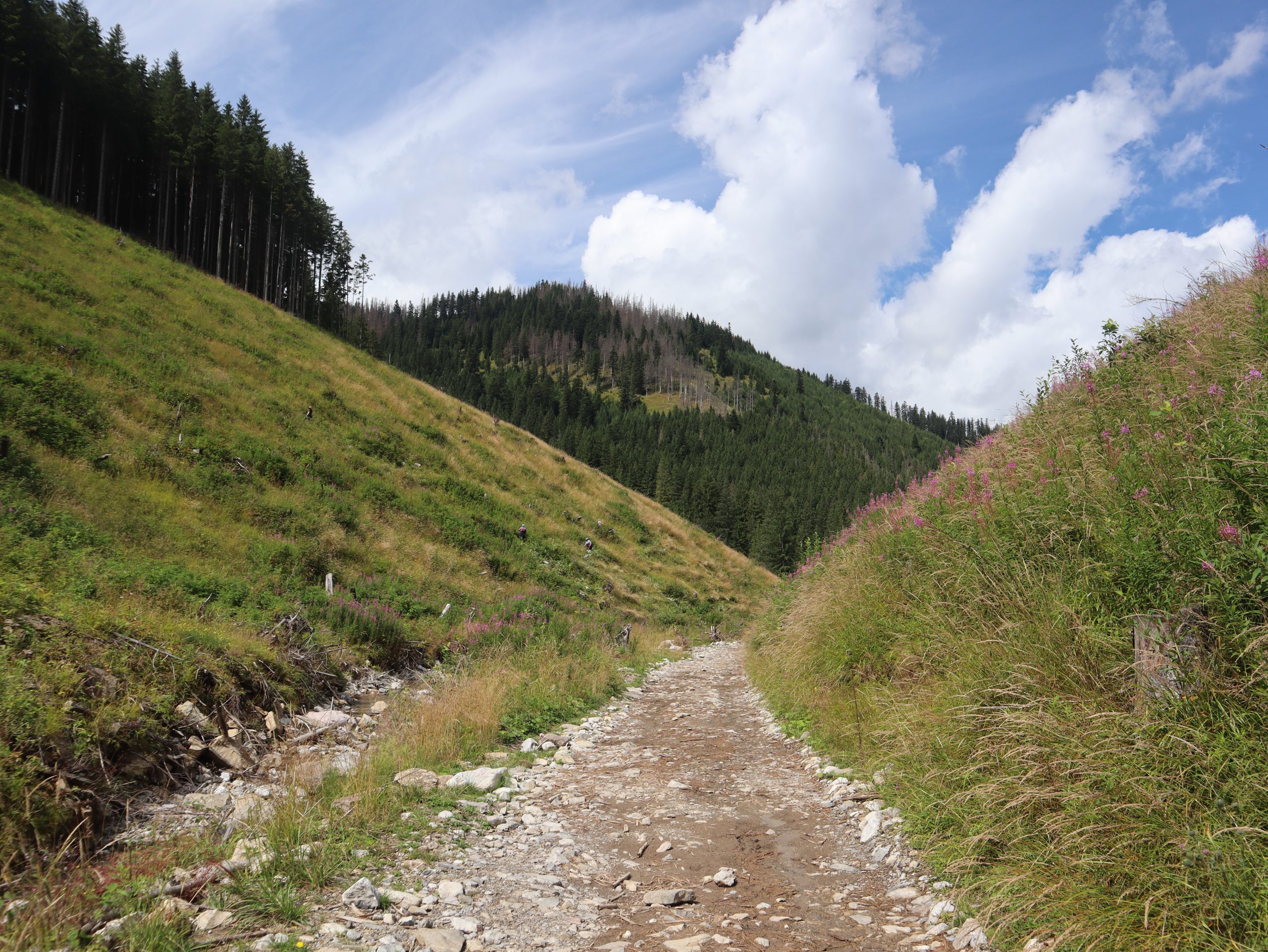 Dolina Lejowa, Tatry Zachodnie