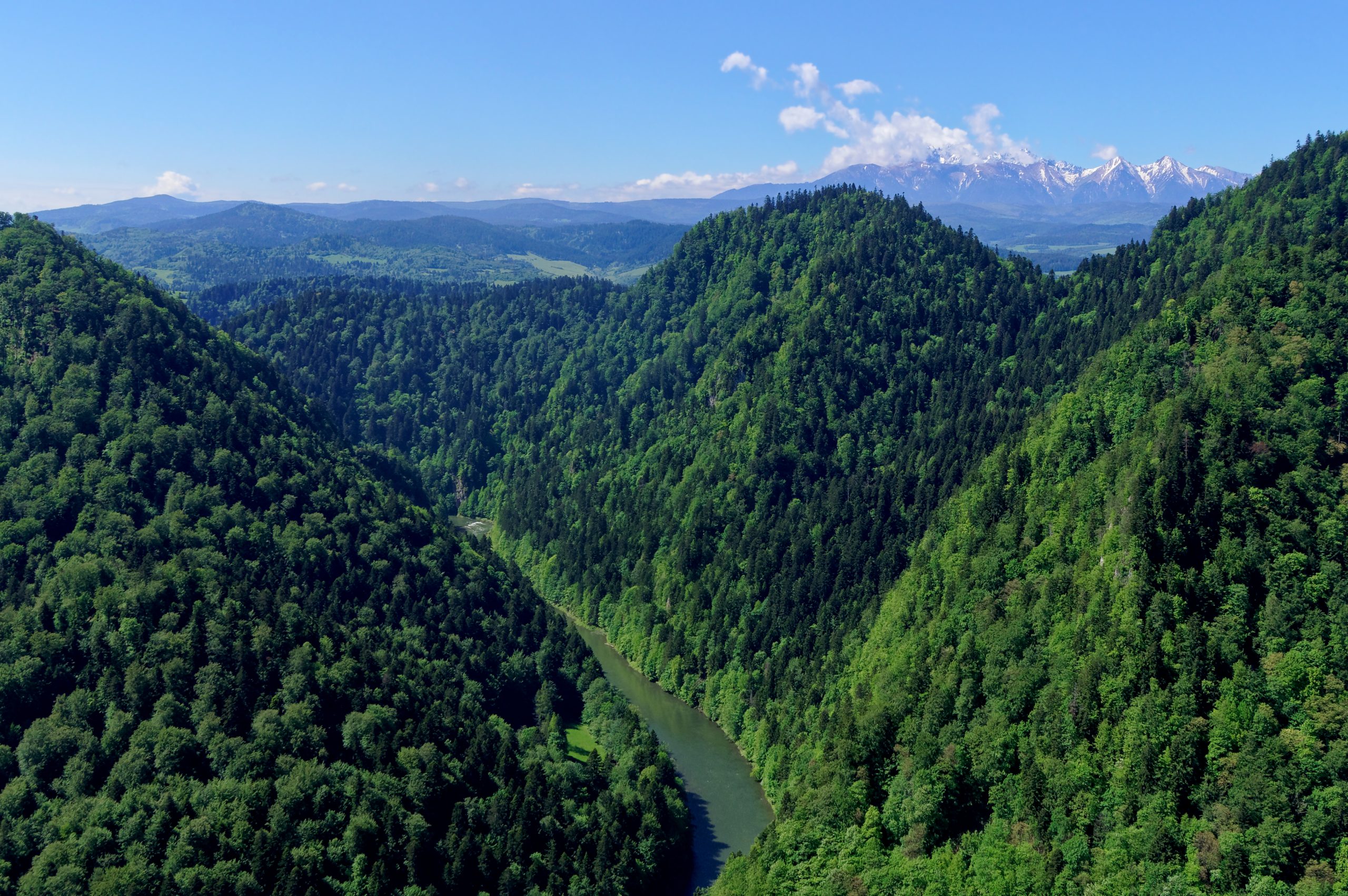 Czertezik, Sokola Perć, Pieniny
