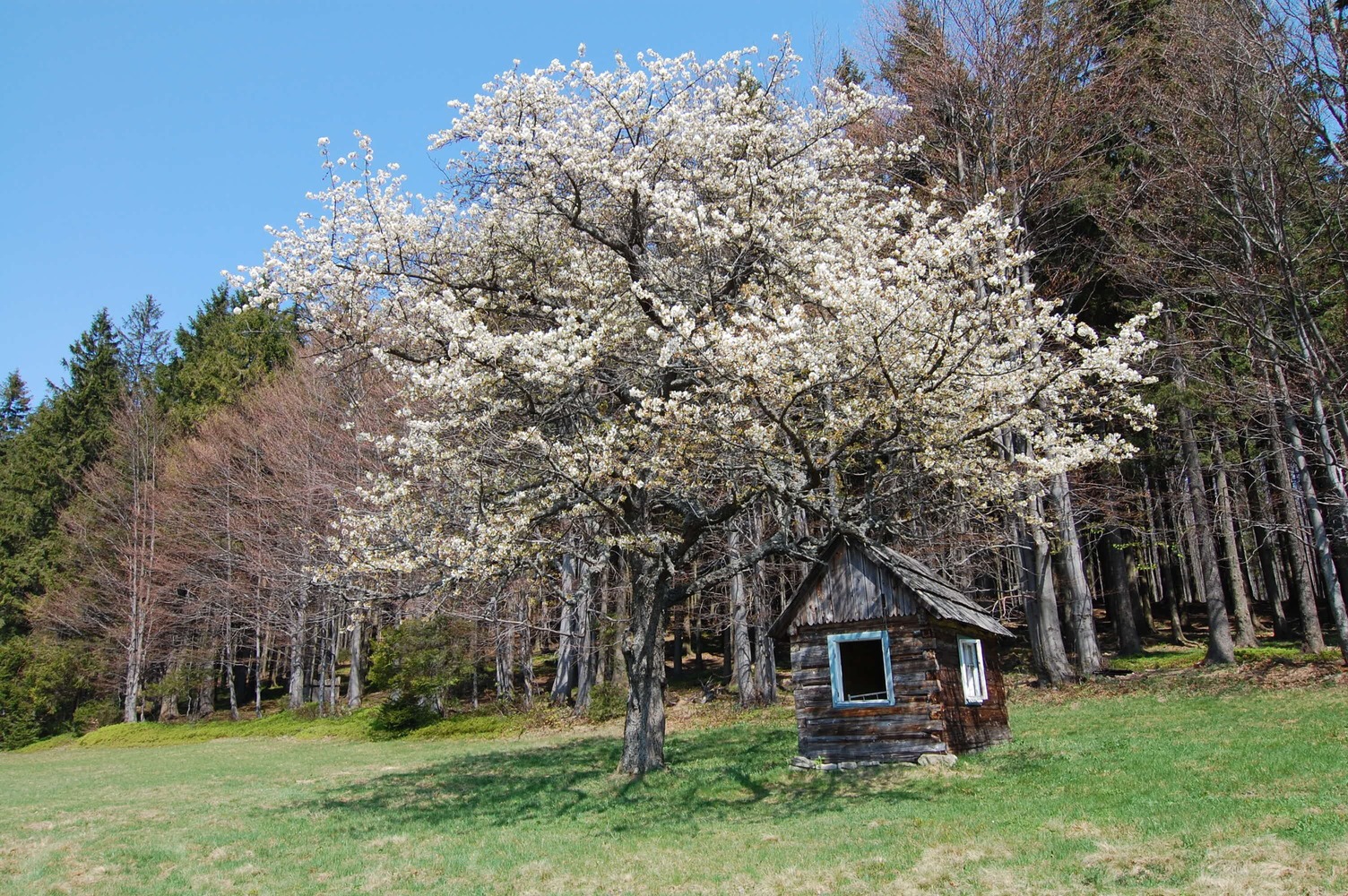 Przegibek, Beskid Żywiecki