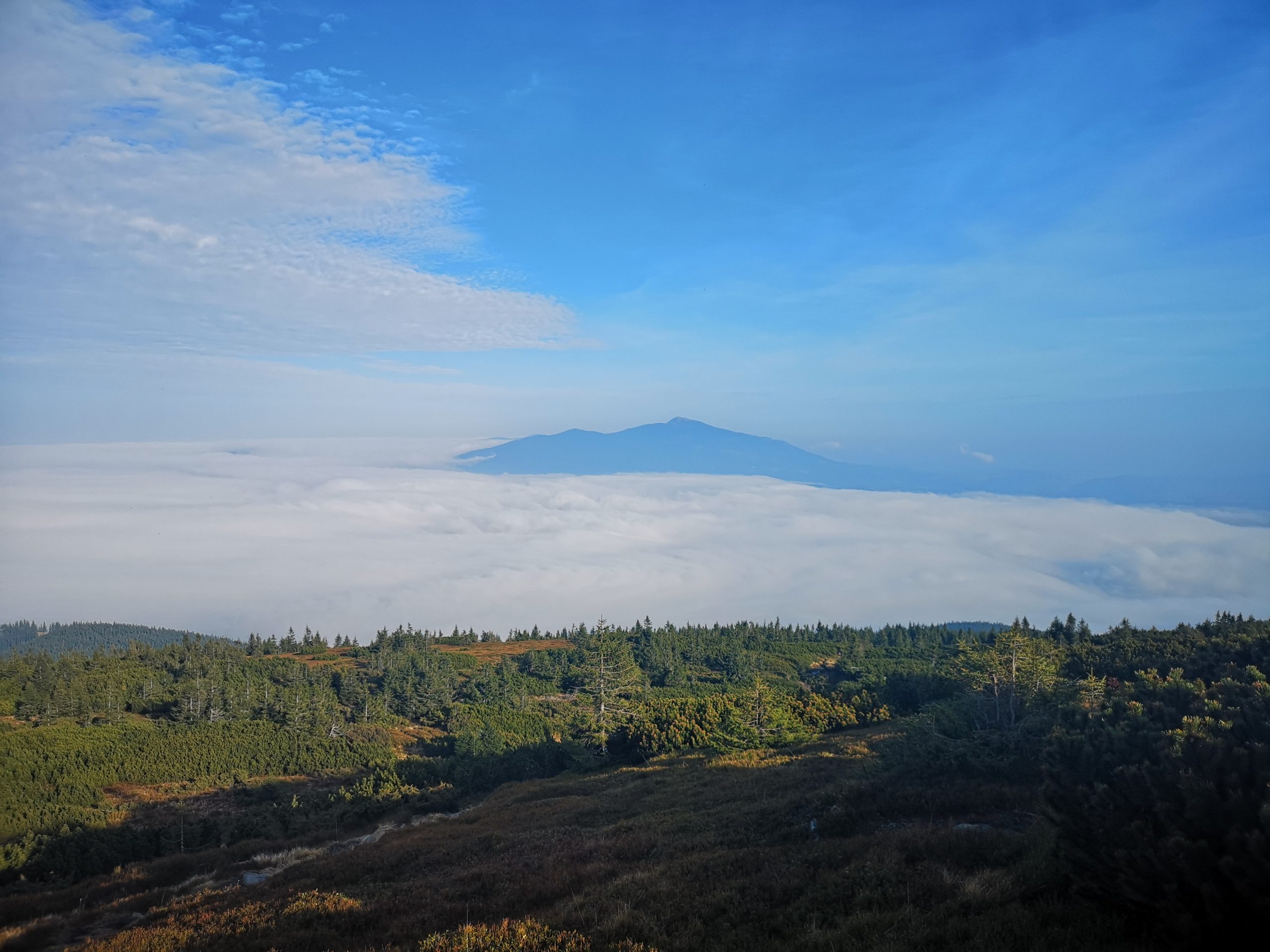 Babia Góra spod Pilska, Beskid Żywiecki