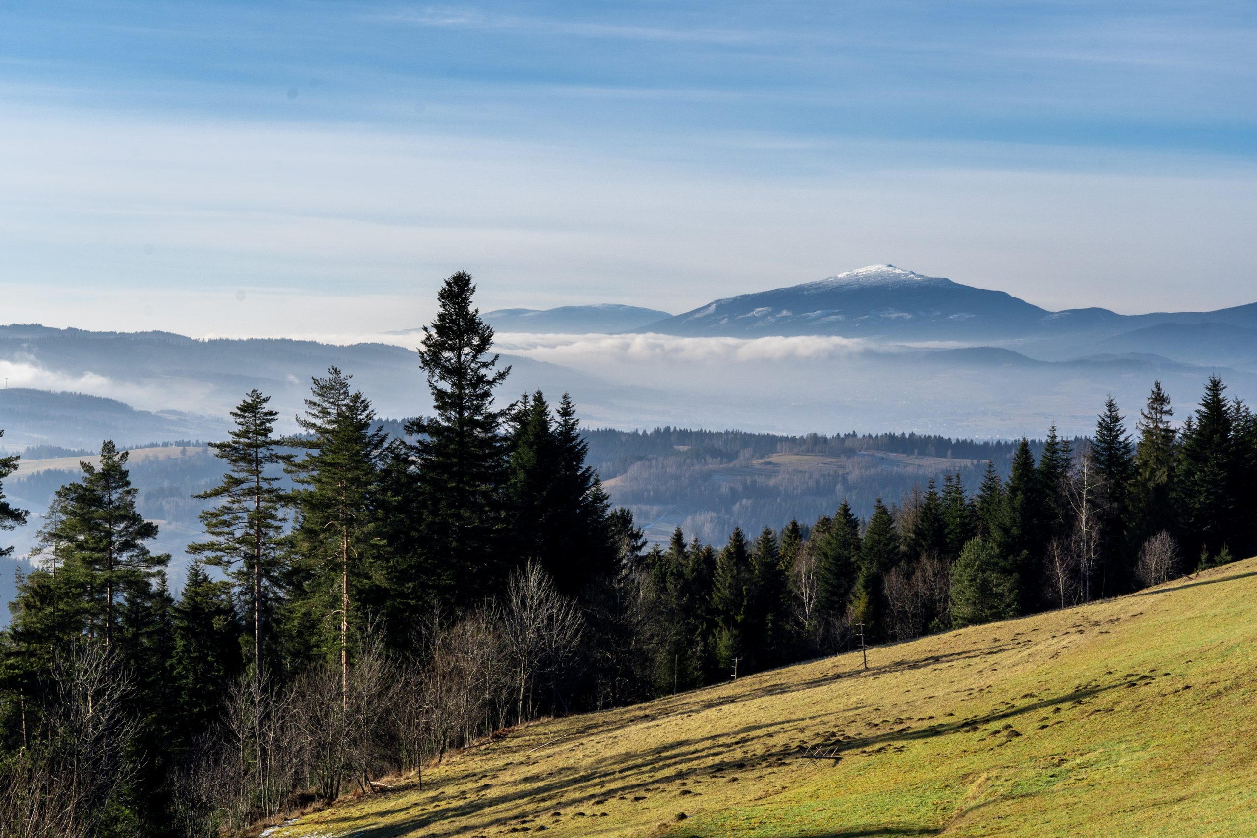 Babia Góra z Maciejowej, Gorce