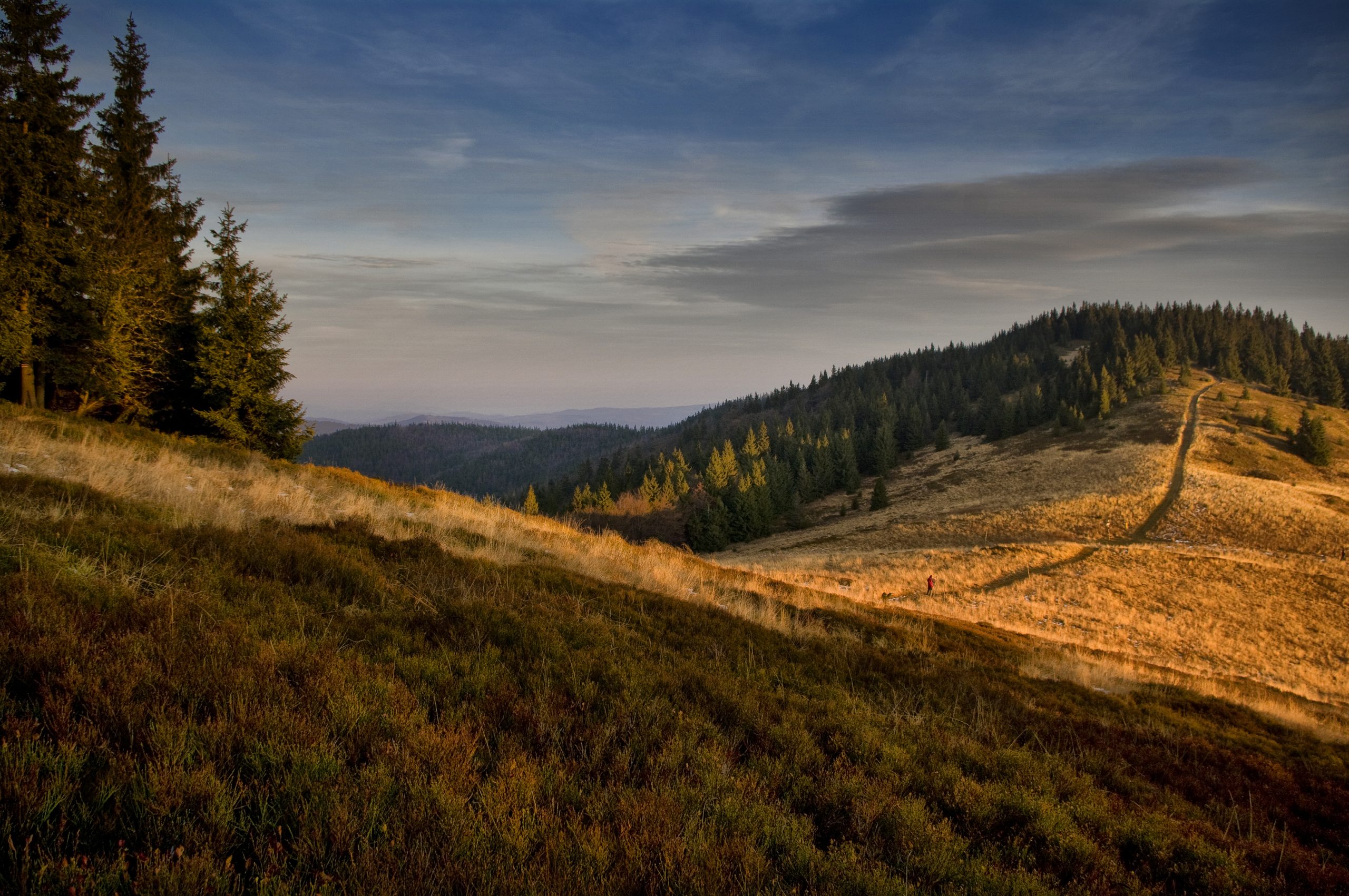 Wielka Rycerzowa, Beskid Żywiecki