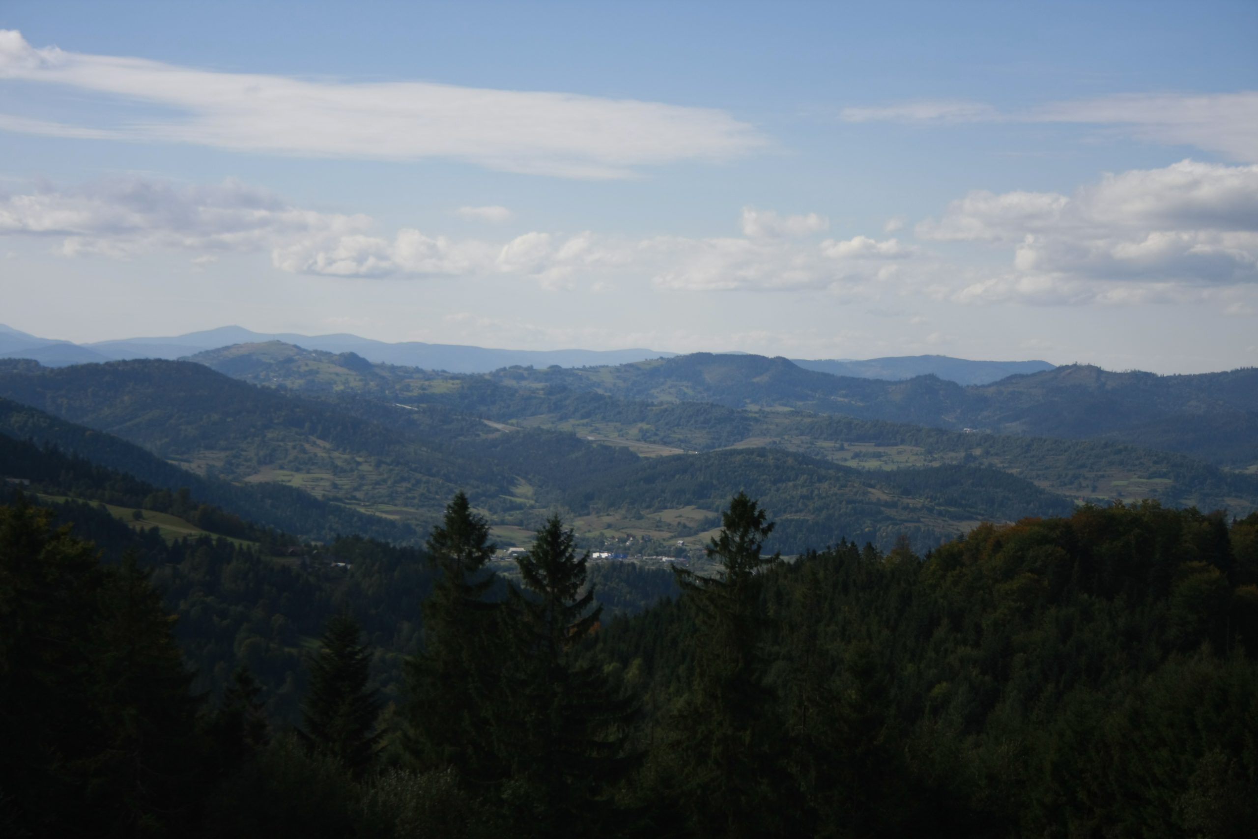 Hala Boracza, Beskid Żywiecki