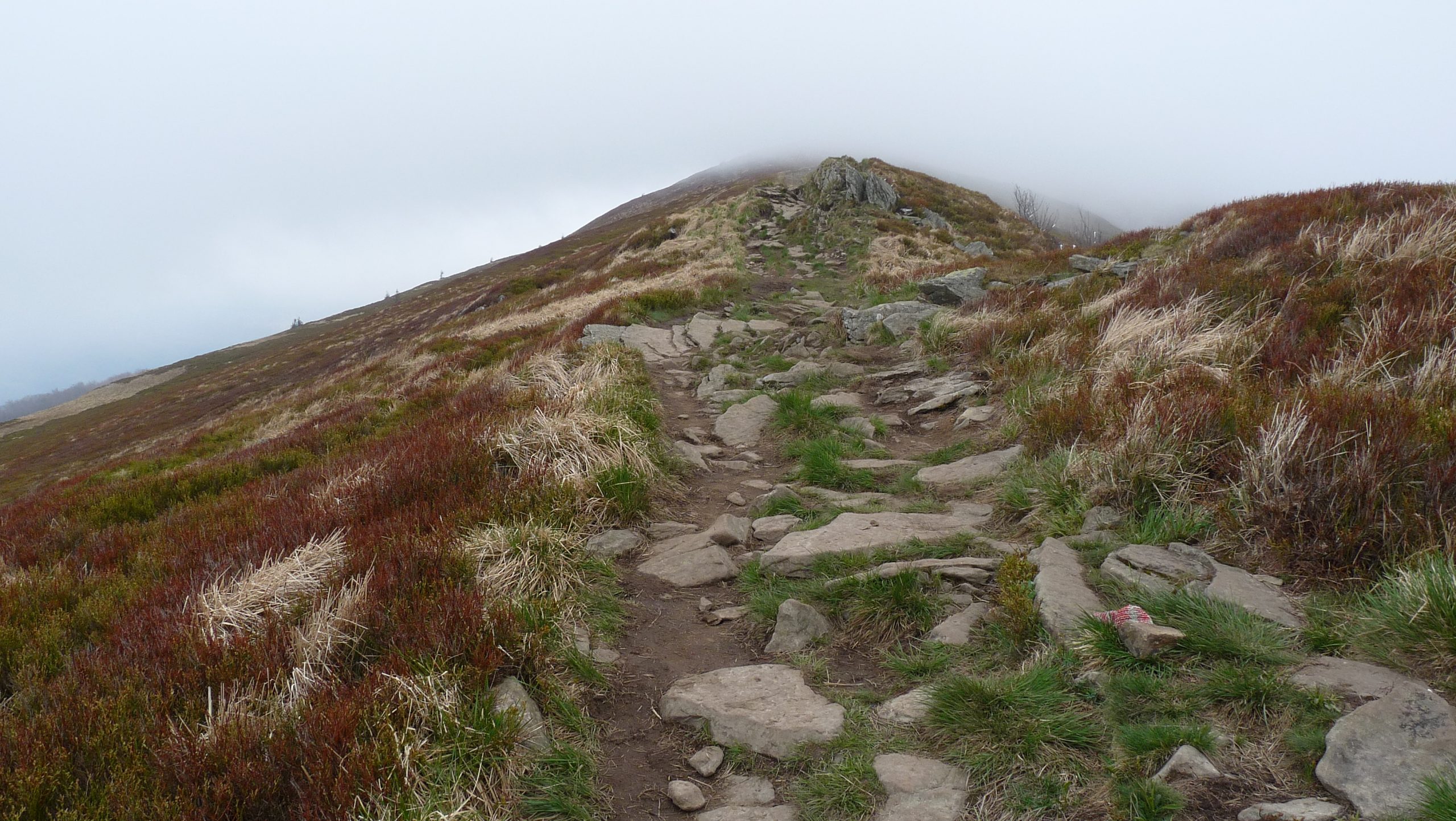 Połonina Caryńska, Bieszczady
