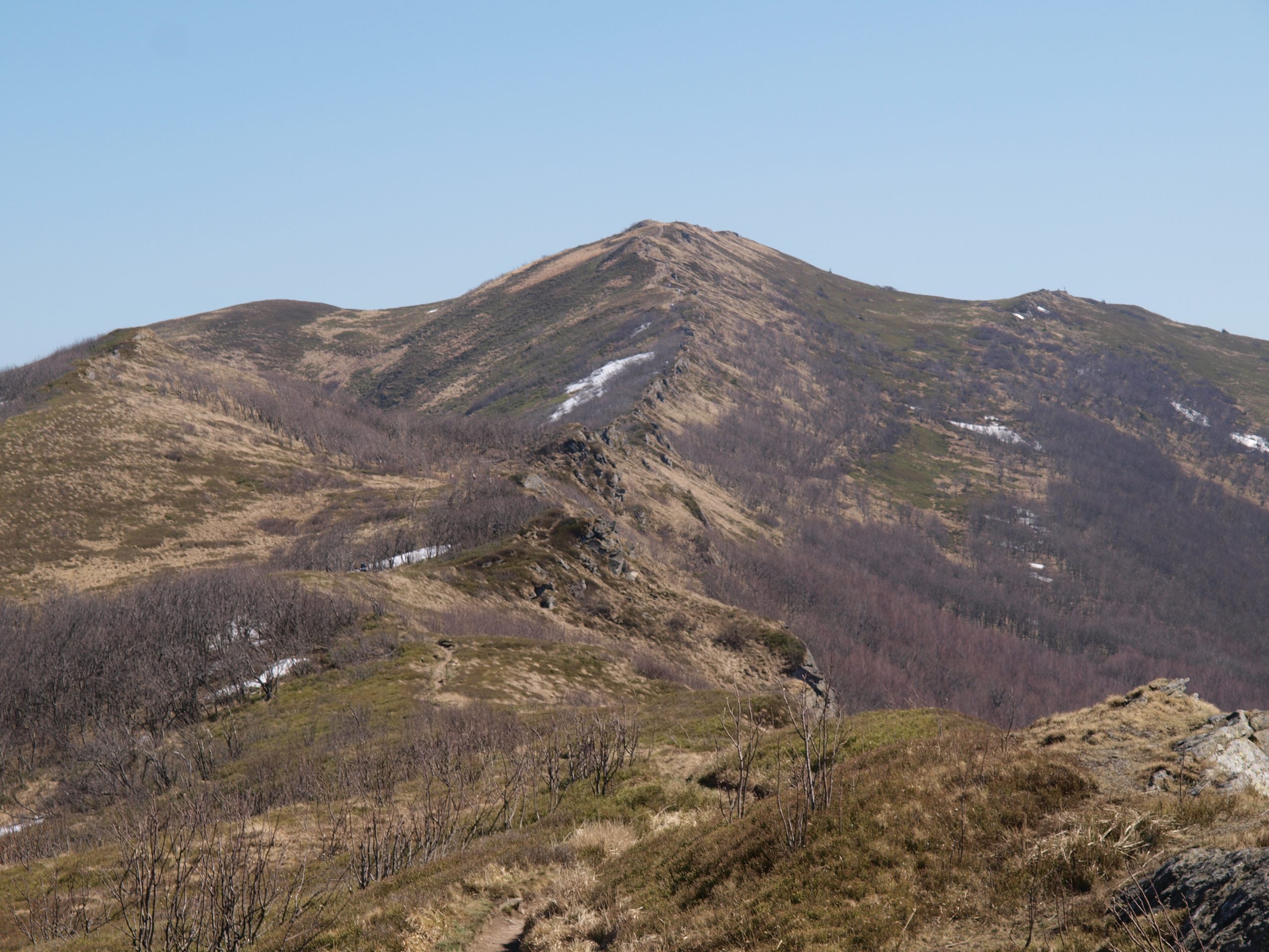 Bukowe Berdo, Bieszczady