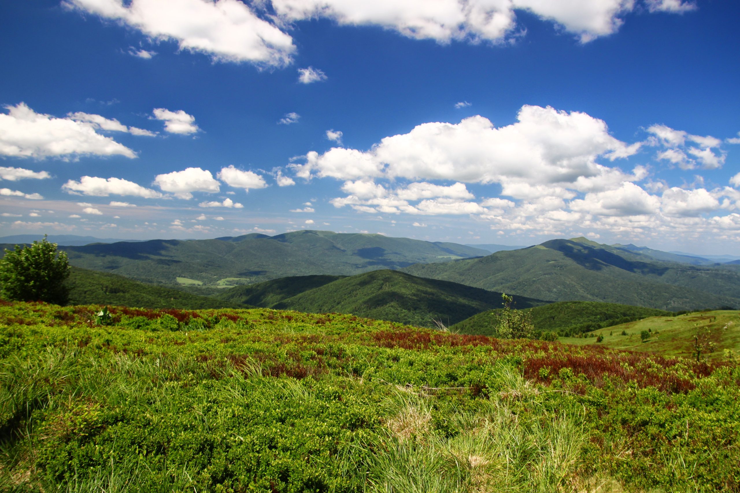 Bukowe Berdo, Bieszczady