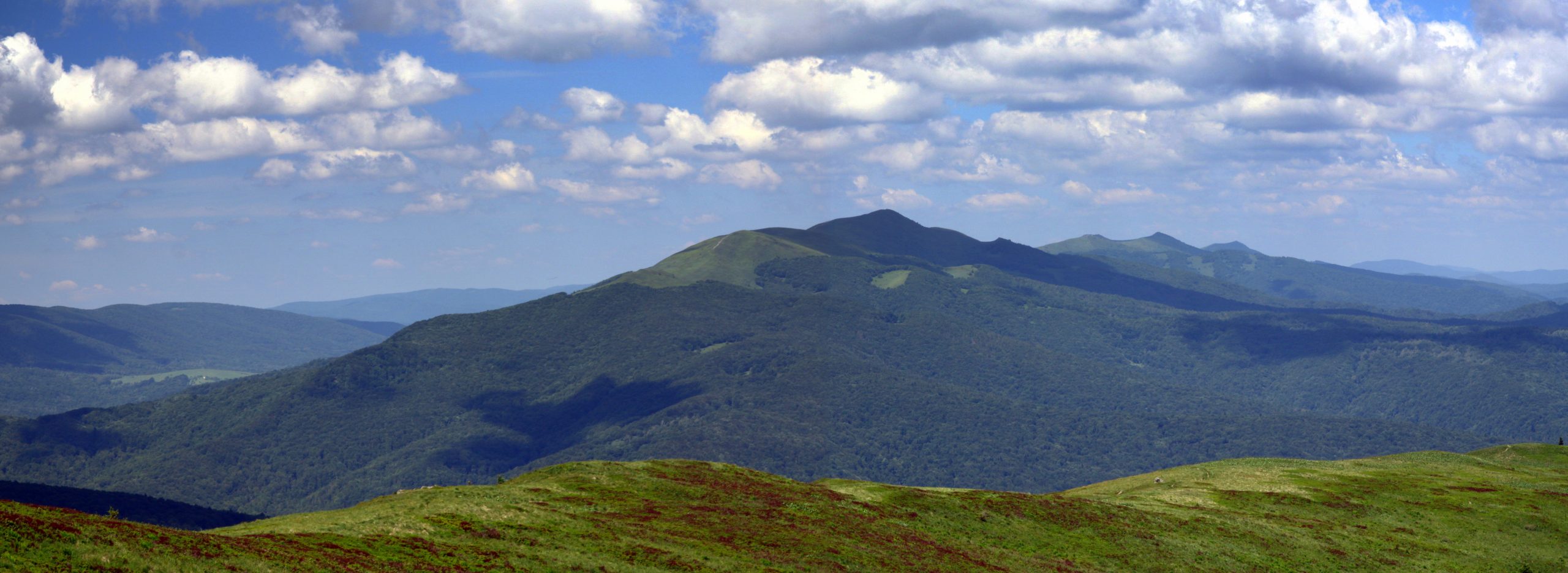Połonina Caryńska z Bukowego Berda, Bieszczady