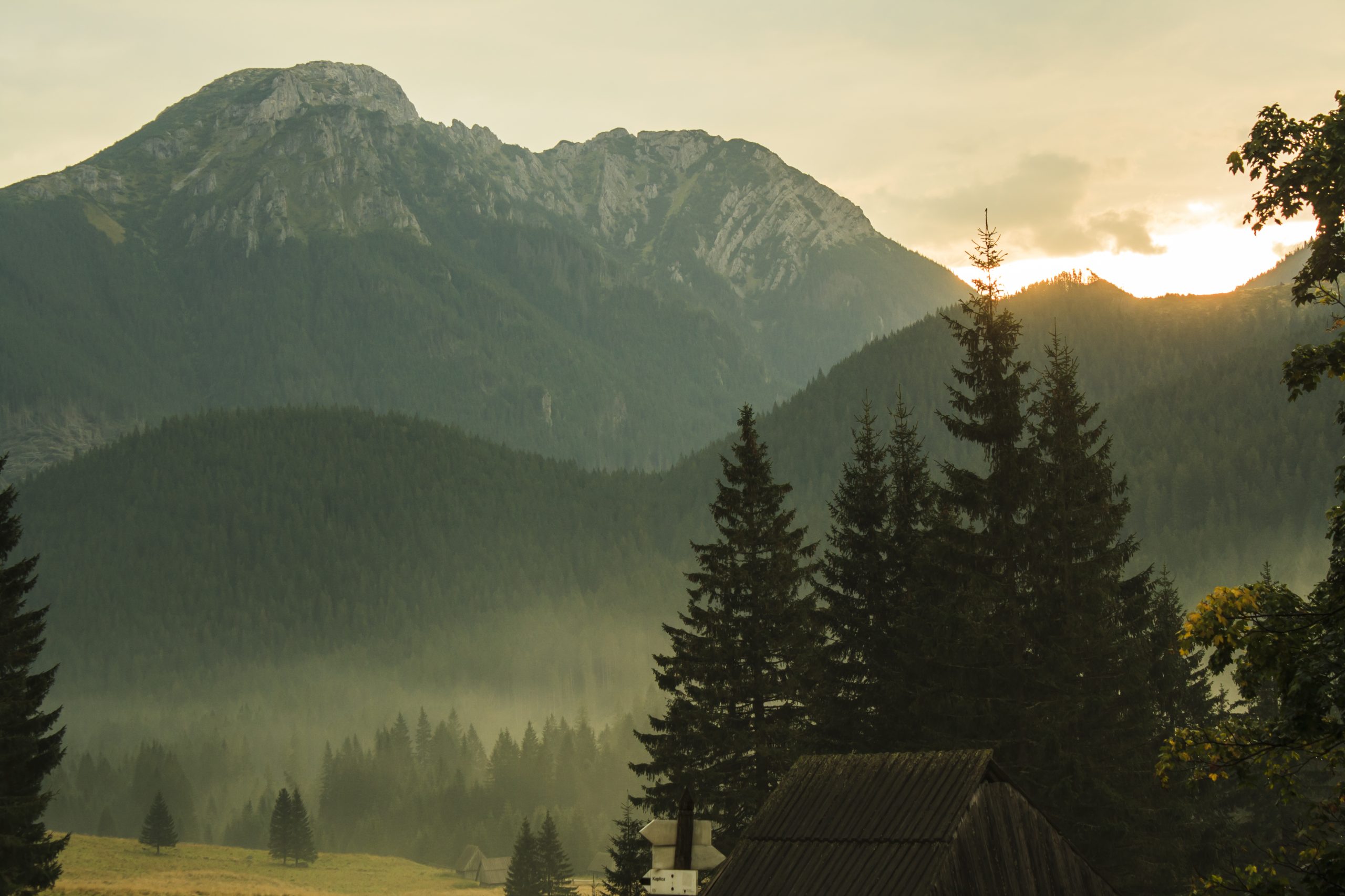 Polana Chochołowska o poranku, Tatry Zachodnie