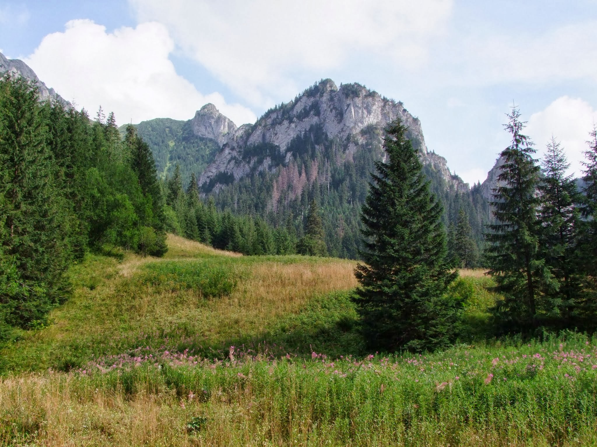 Dolina Kościeliska, Tatry Zachodnie