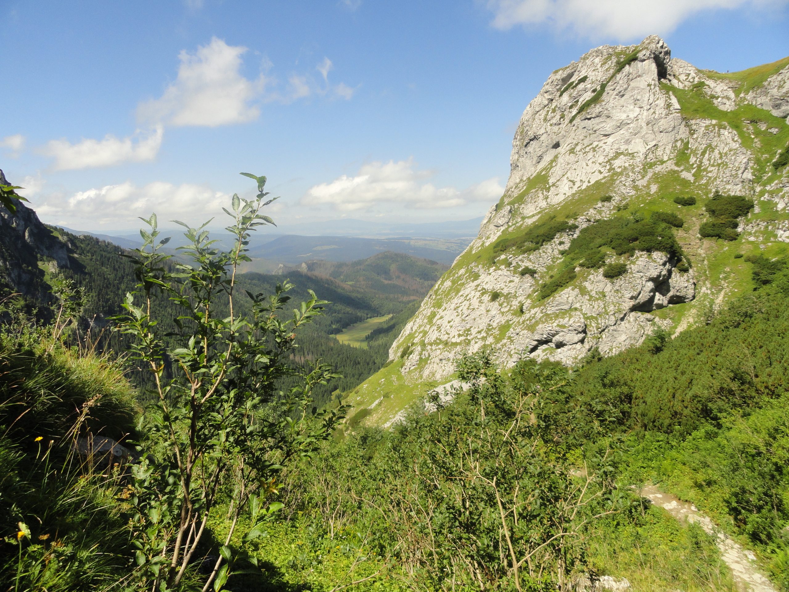 Dolina Małej Łąki, Tatry Zachodnie