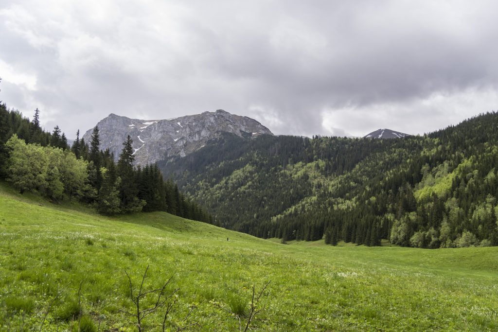 Dolina Małej Łąki, Tatry Zachodnie