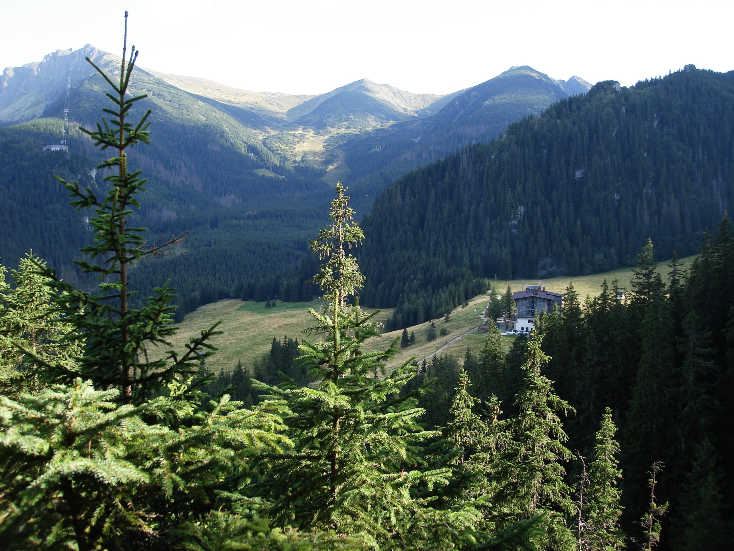 Polana Kalatówki, Tatry Zachodnie