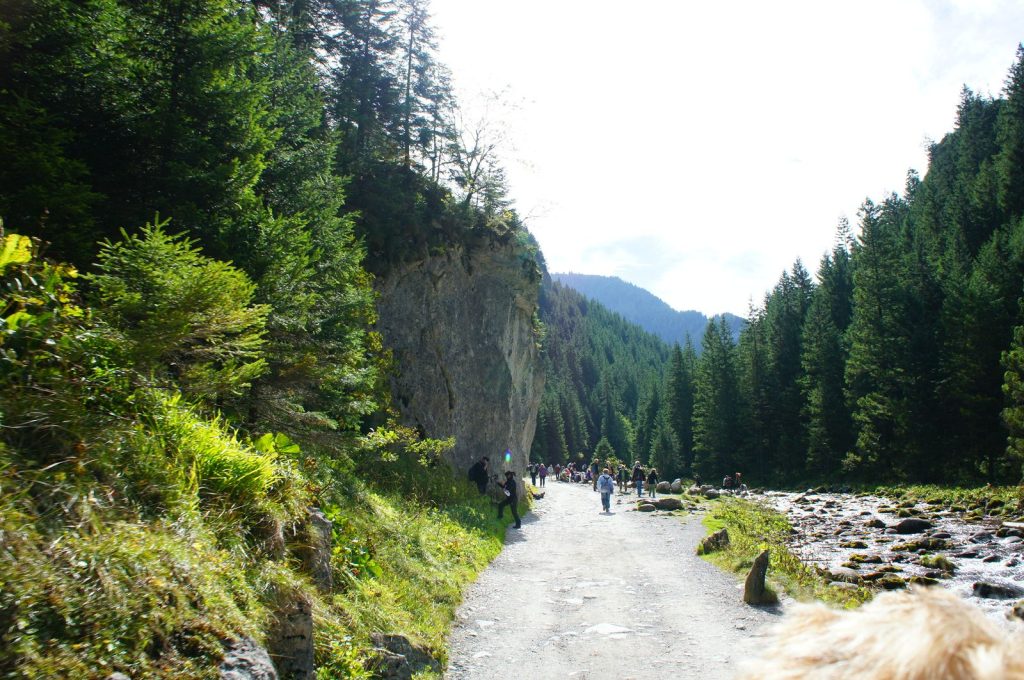 Dolina Kościeliska, Tatry Zachodnie