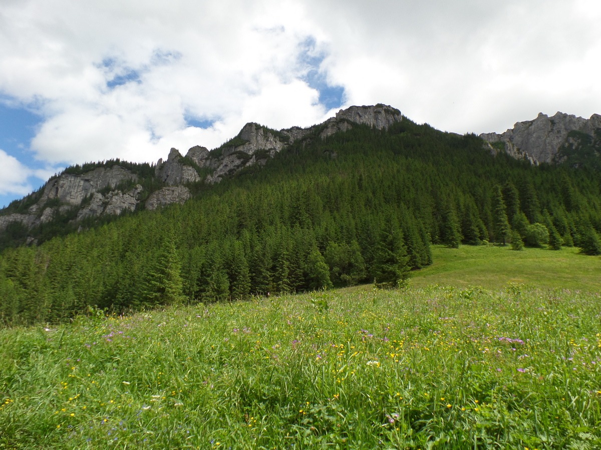 Dolina Kościeliska, Tatry Zachodnie