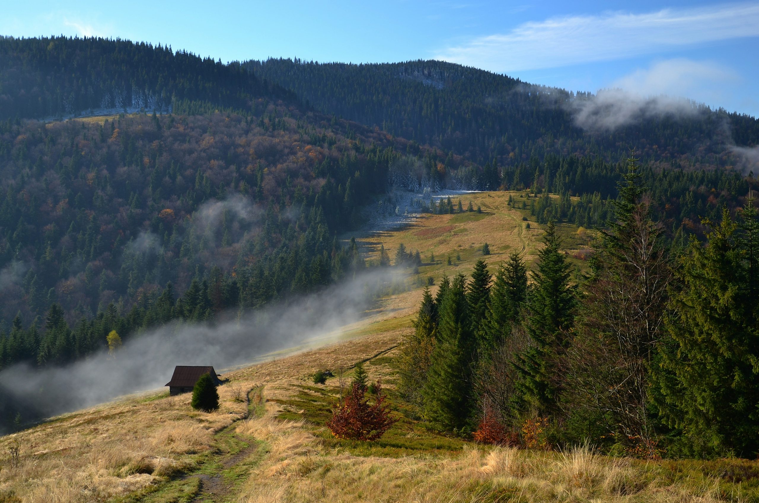 Polana Podskały, Gorce