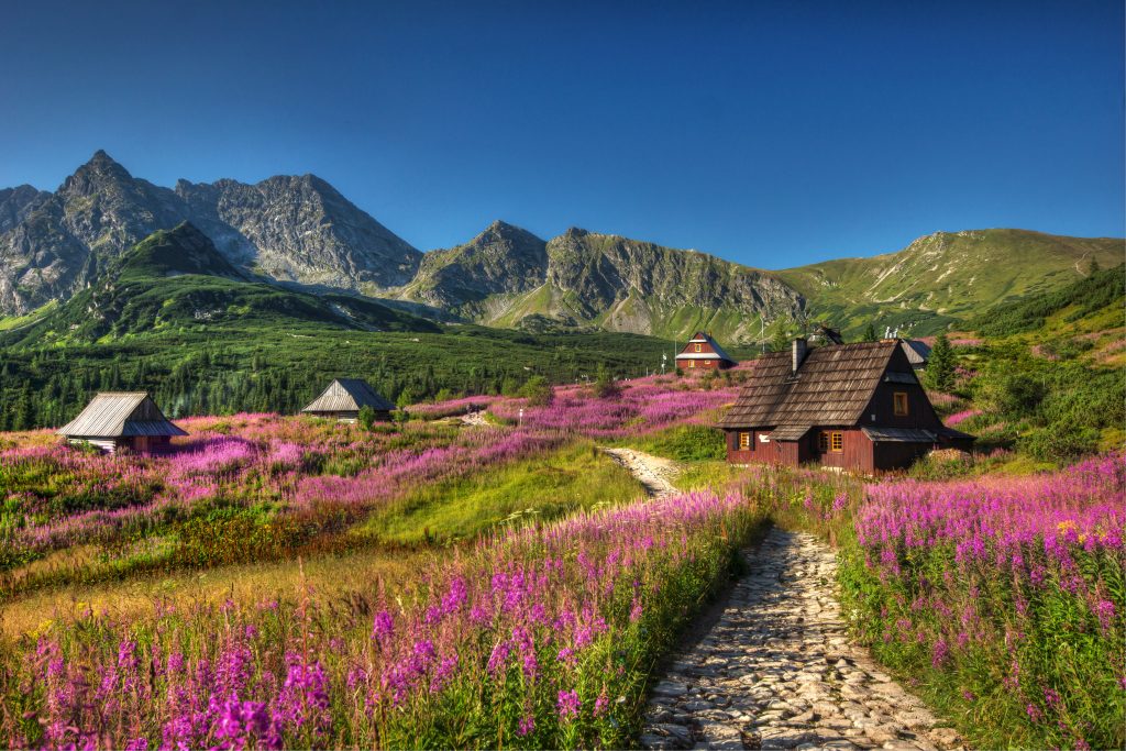 Hala Gąsienicowa, Tatry Wysokie