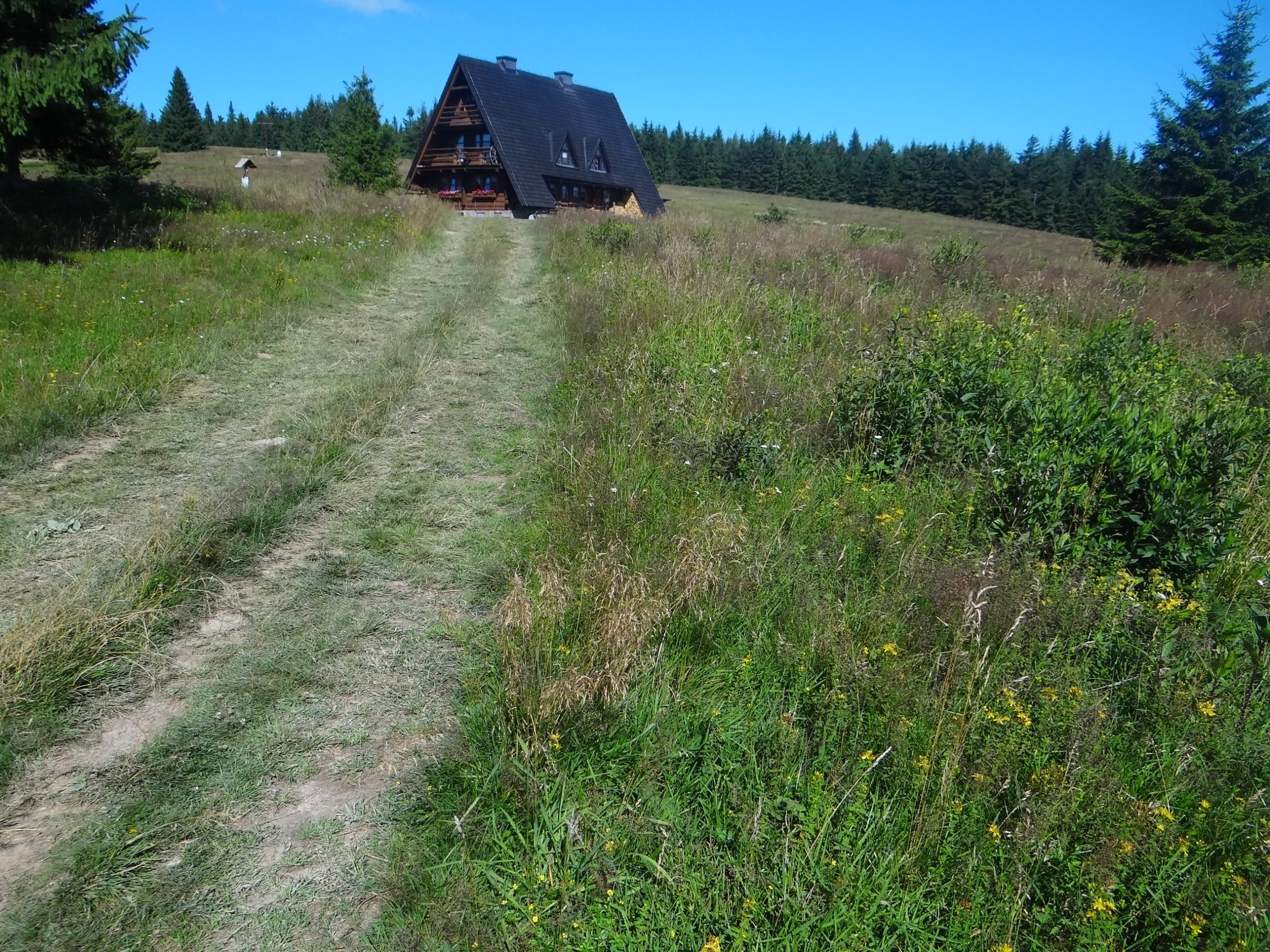 Hala Krawcula, Beskid Żywiecki