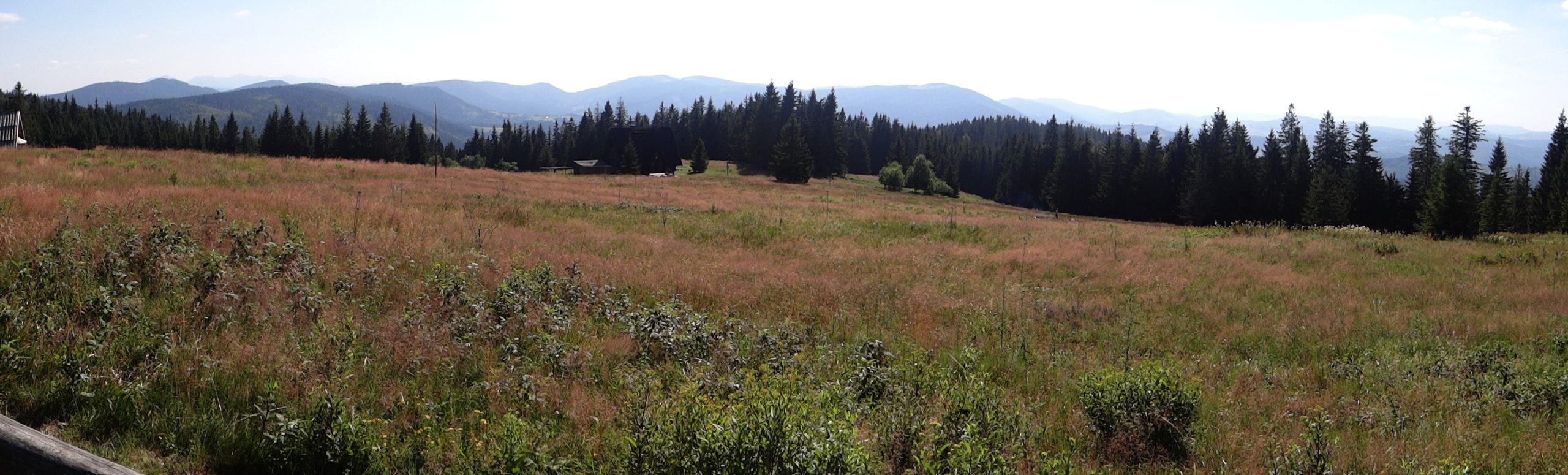 Hala Krawcula, Beskid Żywiecki