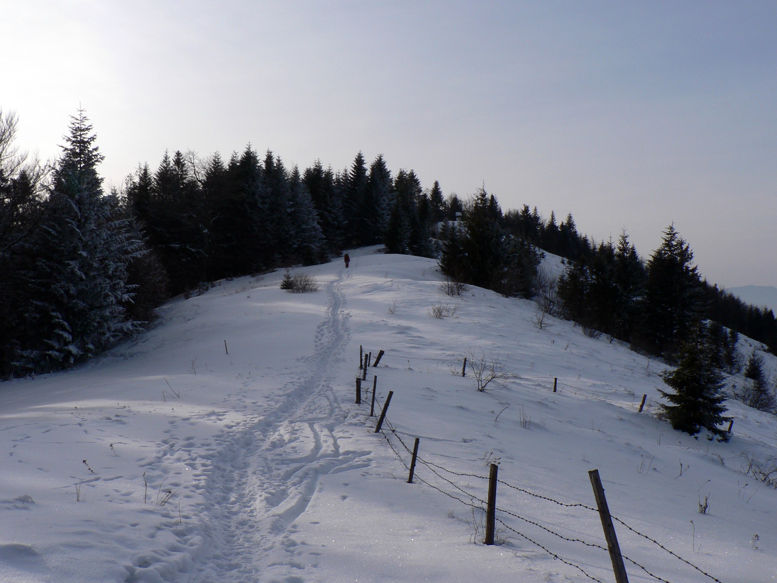 Szlak z Jaworzynki do Rzek, Gorce