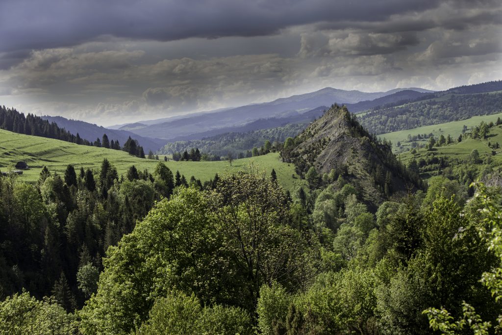 Rezerwat Białej Wody, Małe Pieniny