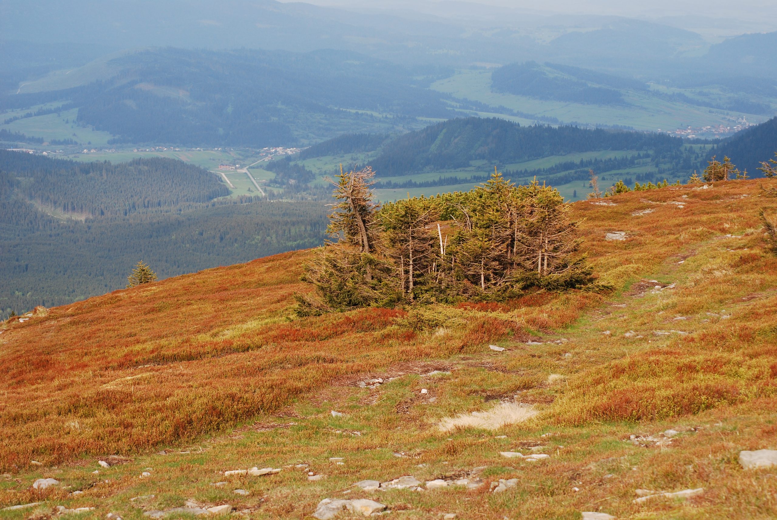Pilsko, Beskid Żywiecki