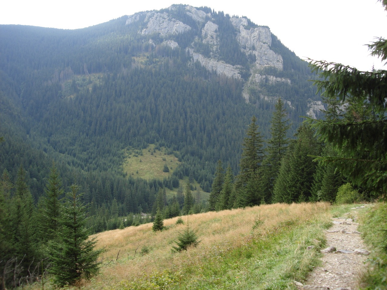 Droga z doliny Kościeliskiej do Polany na Stołach, Tatry Zachodnie