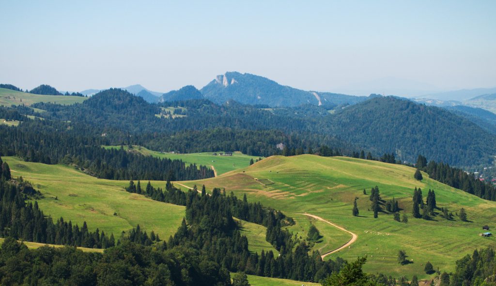 Pieniny Panorama