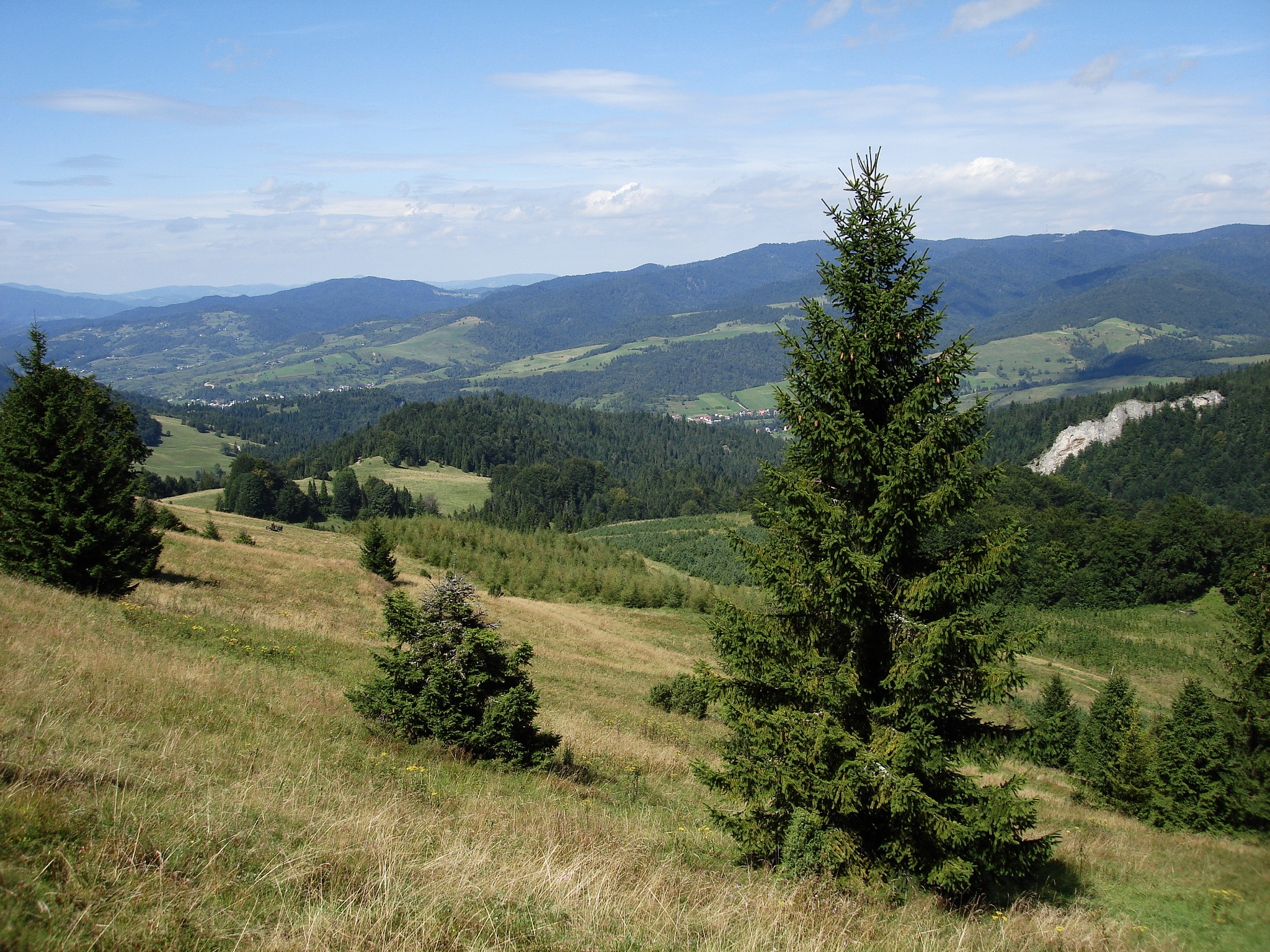 Pieniny
