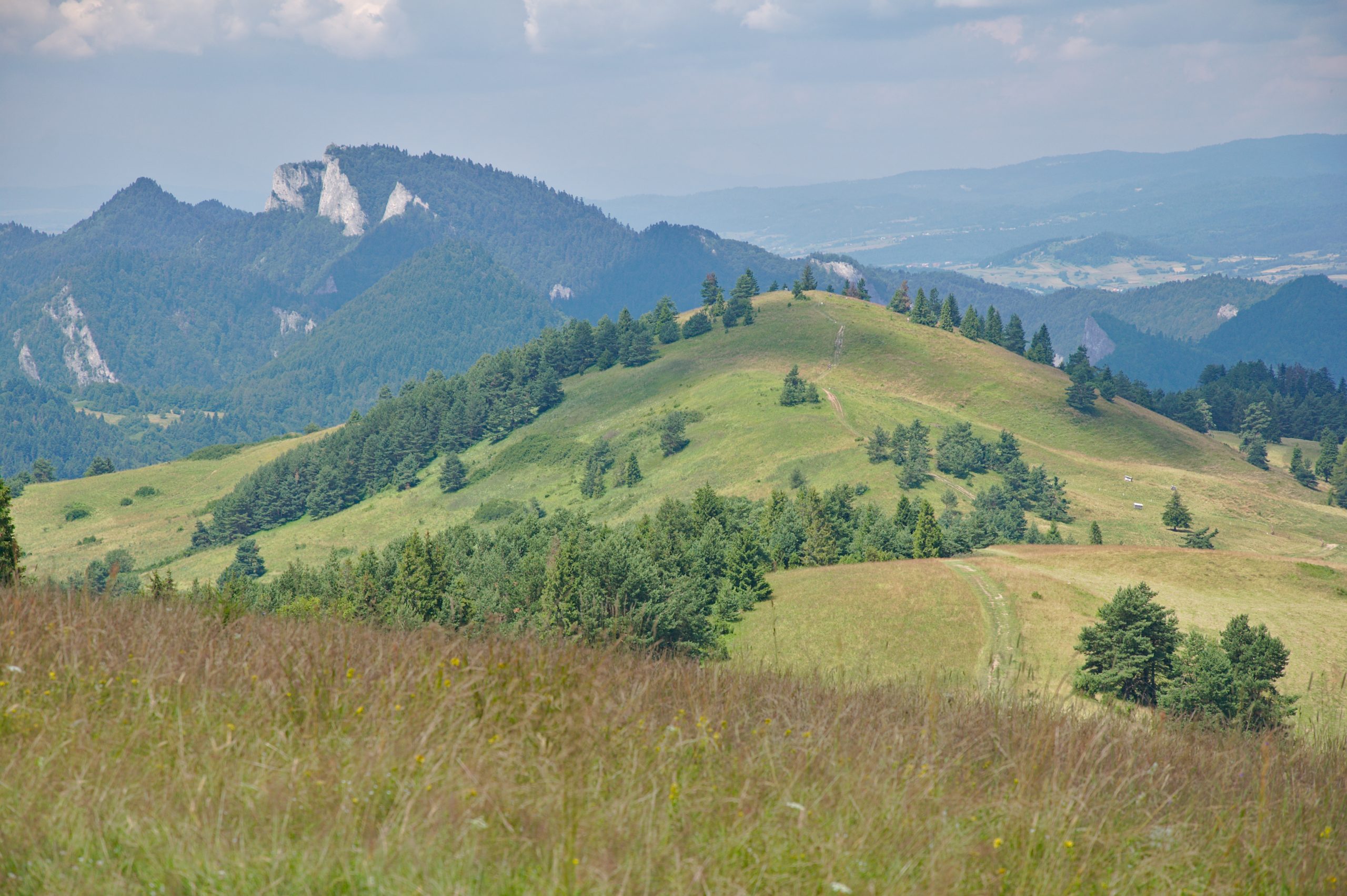 Grzbiet Małych Pienin