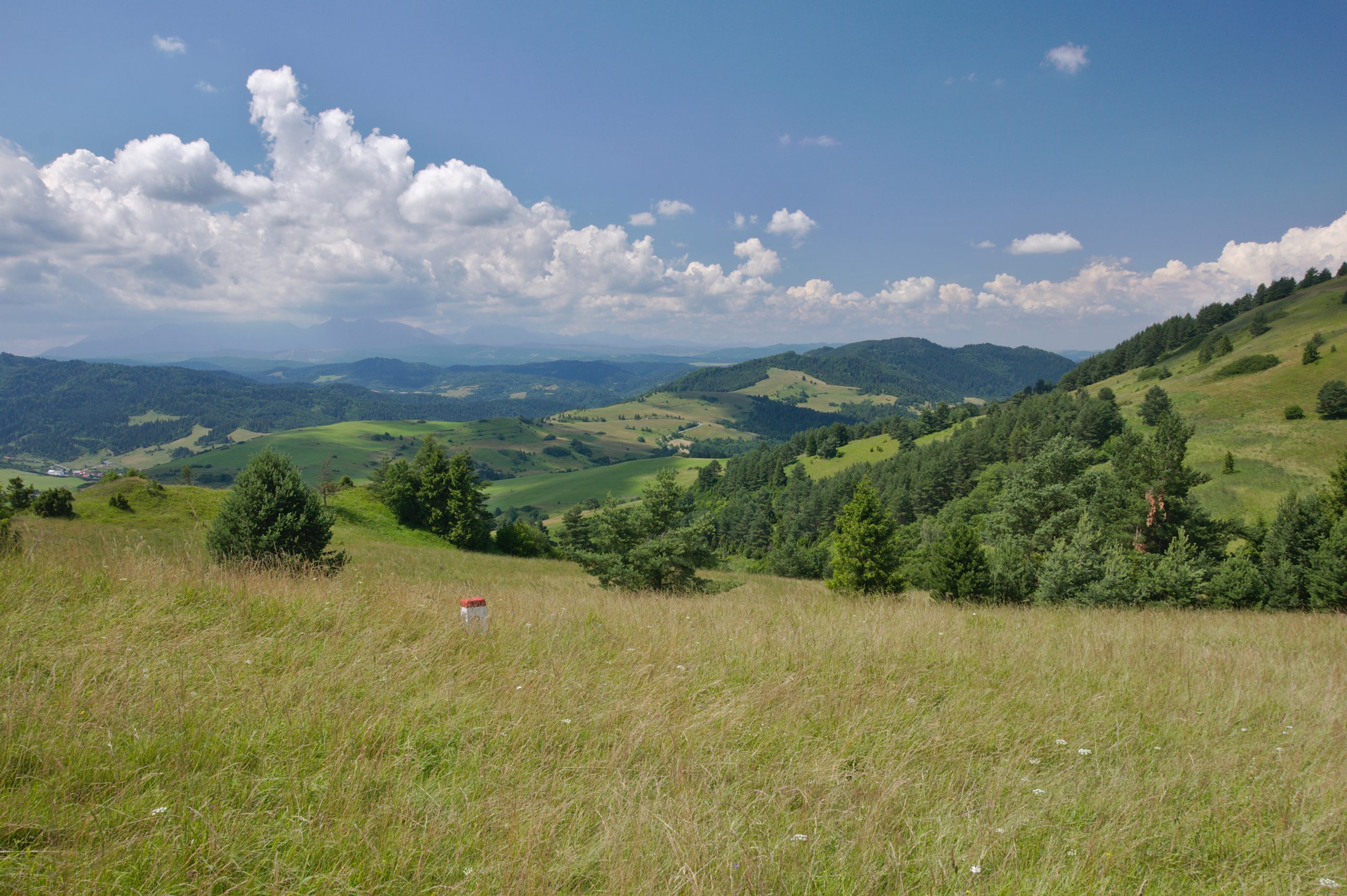 Pieniński Park Narodowy