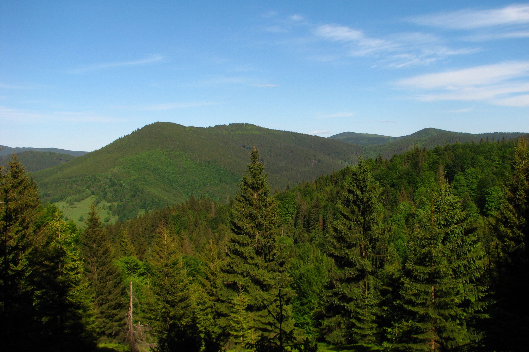 Wielkia Racza, Beskid Żywiecki