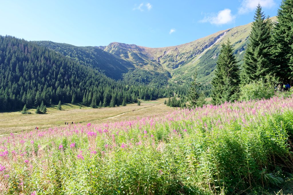 Polana Kondratowa, Tatry Zachodnie