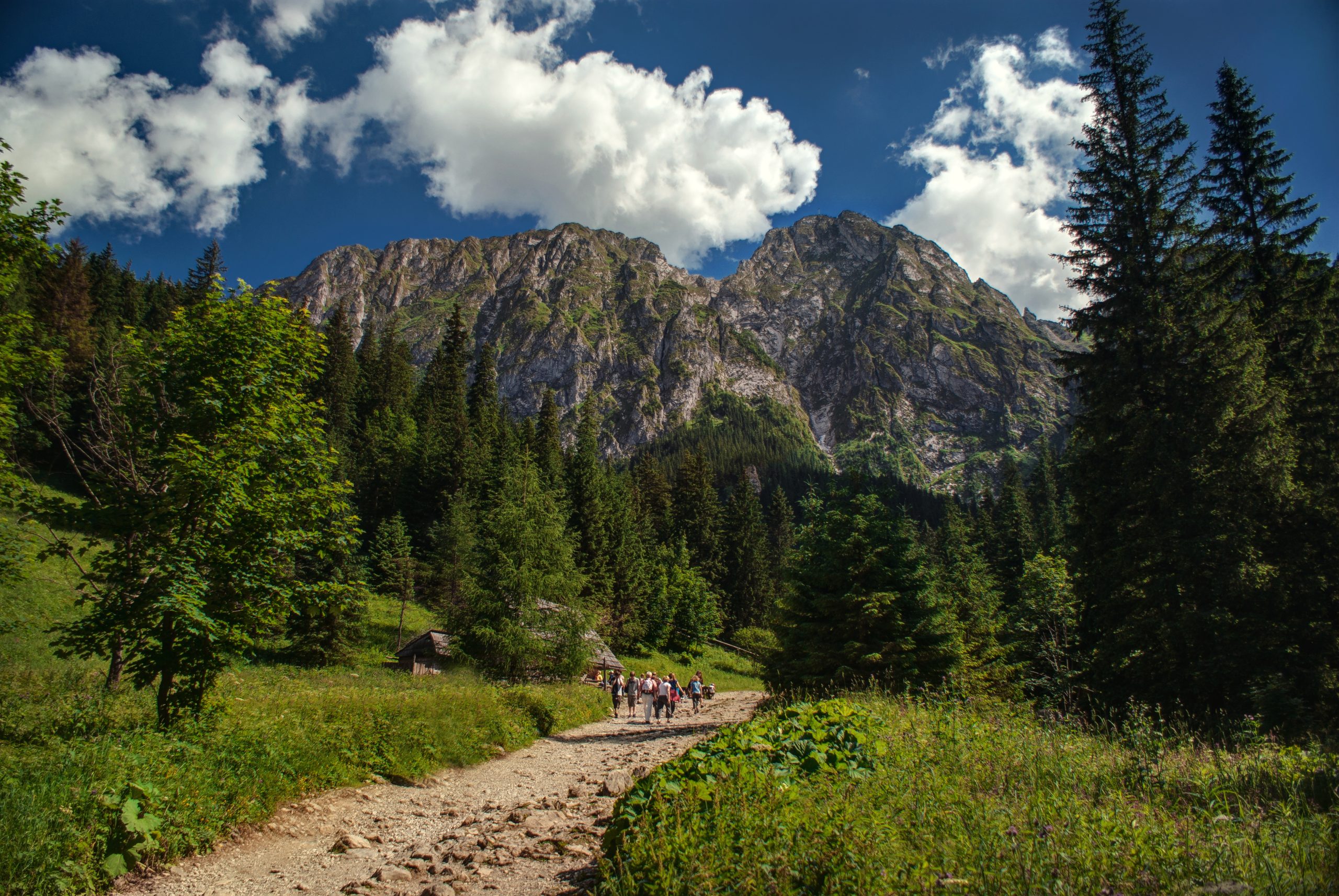 Polana Strążyska, widok na Giewont, Tatry Zachodnie