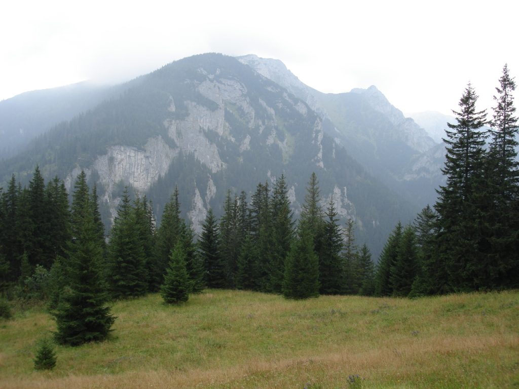 Hala Stoły, Tatry Zachodnie