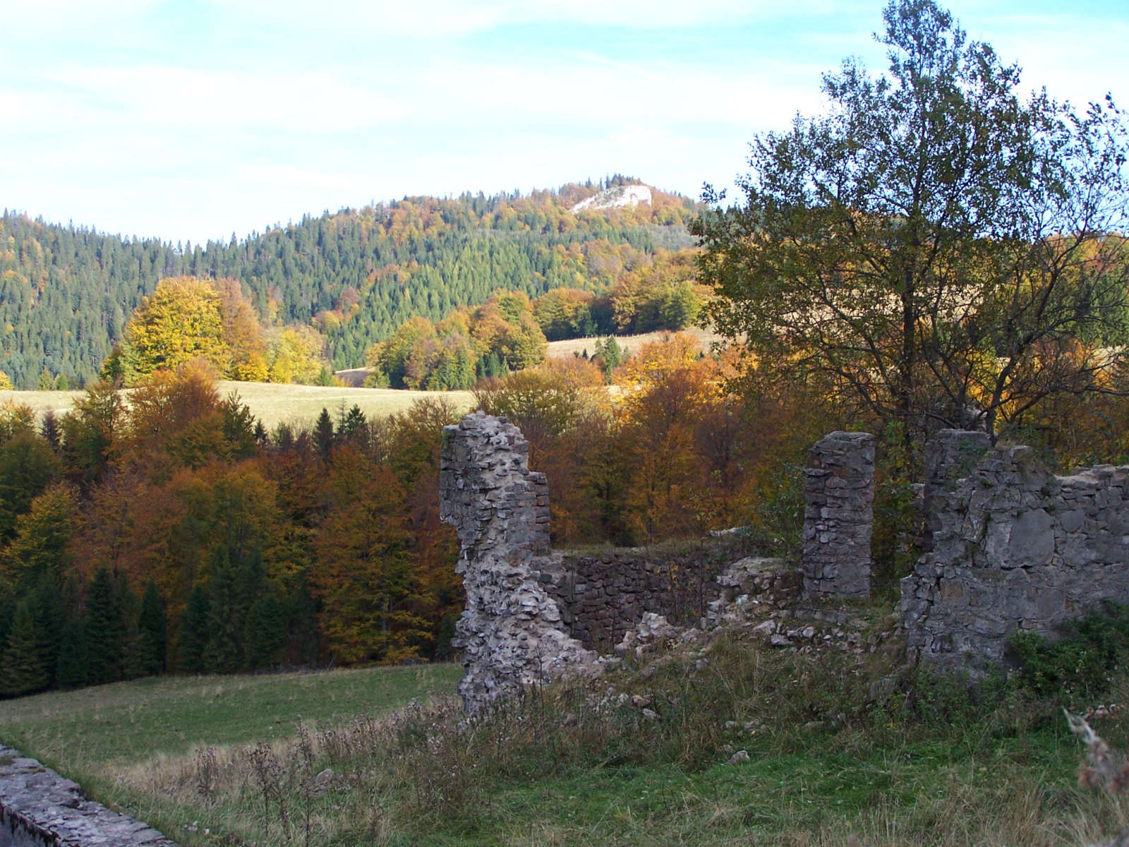 Polana pod Wysoką, Pieniny