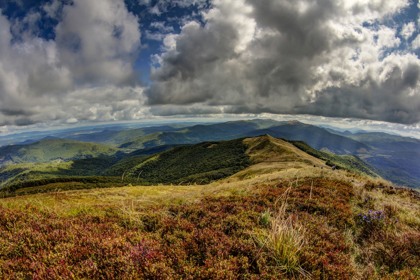 Połonina Caryńska, Bieszczady