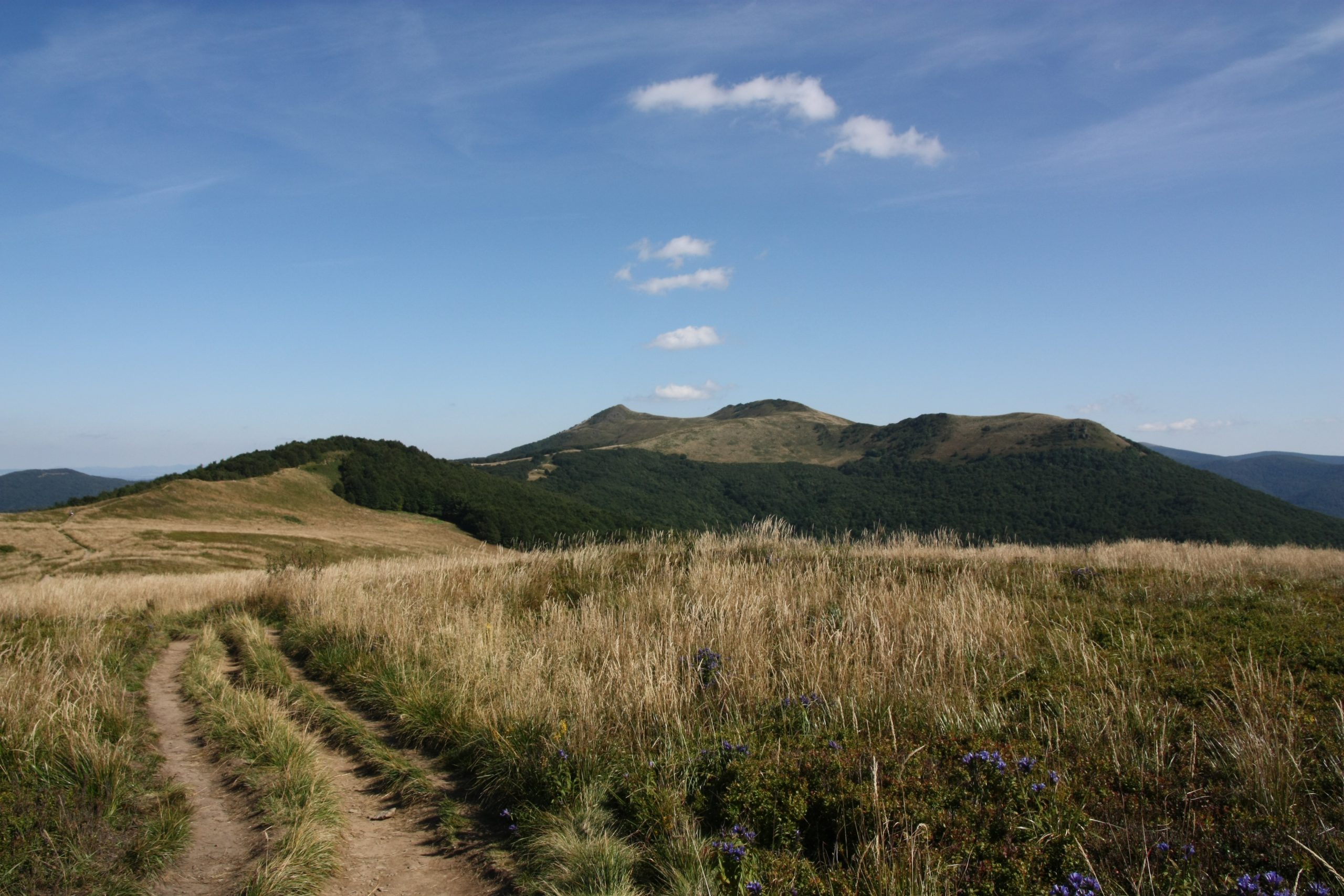 Połonina Wetlińska