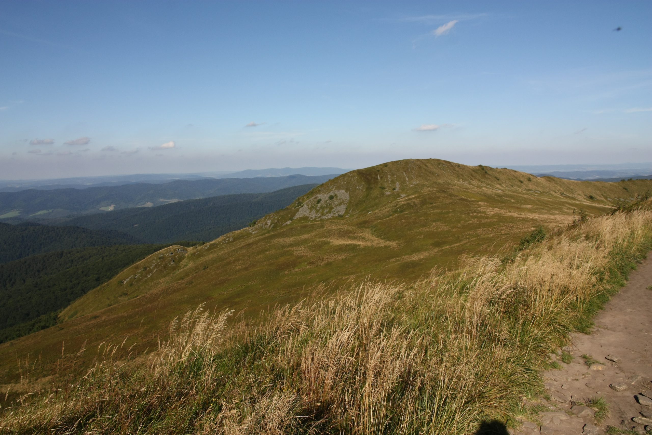 Połonina Wetlińska