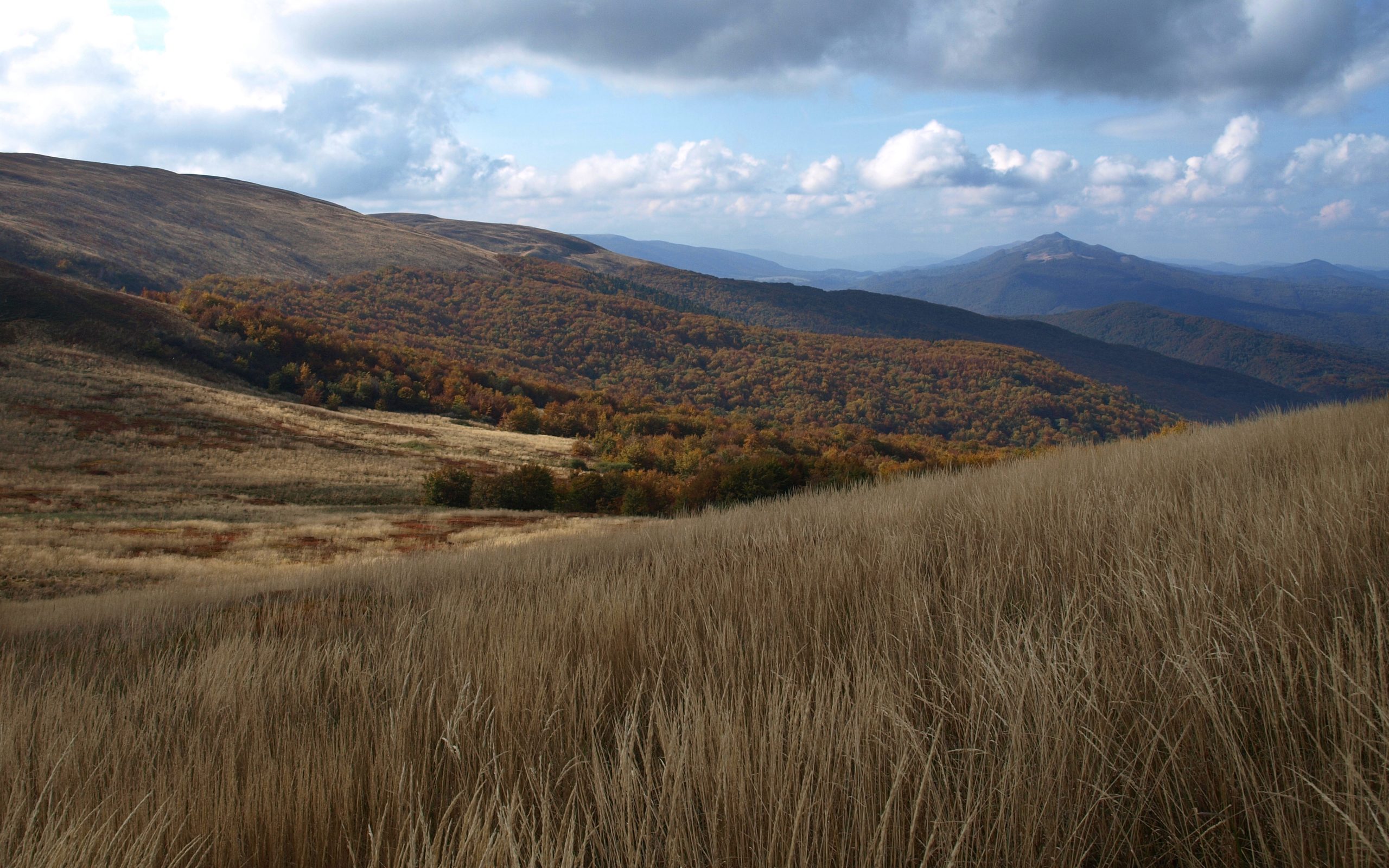 Połoniny, Bieszczady