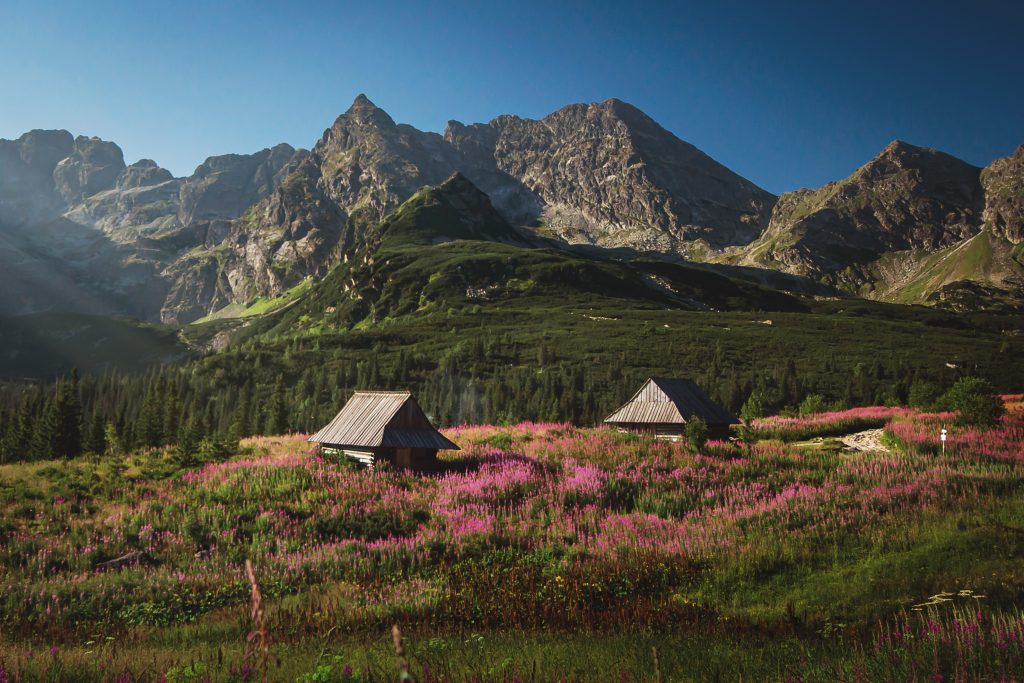 Hala Gąsienicowa, Tatry Wysokie