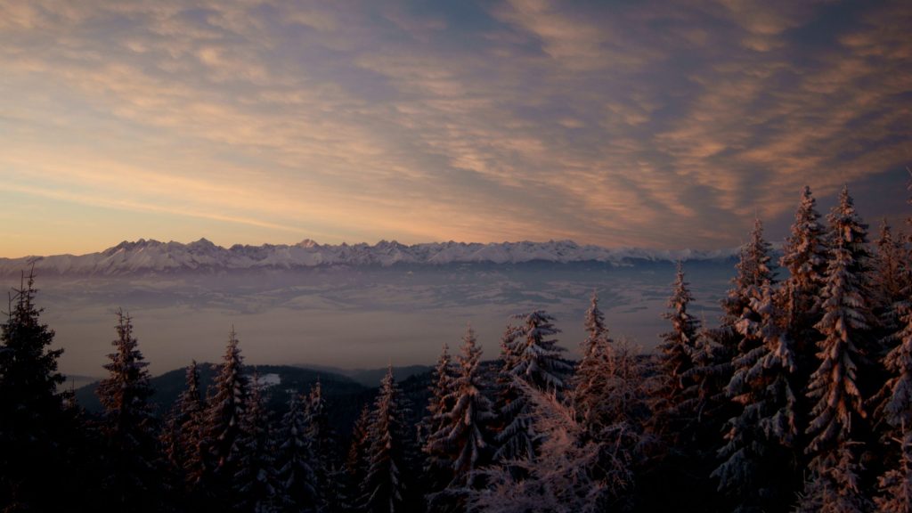 Widok na Tatry, Turbacz, Gorce
