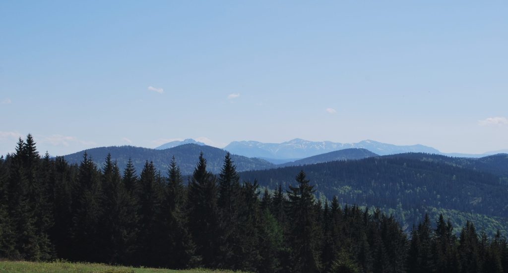 Krawców Wierch, Beskid Żywiecki