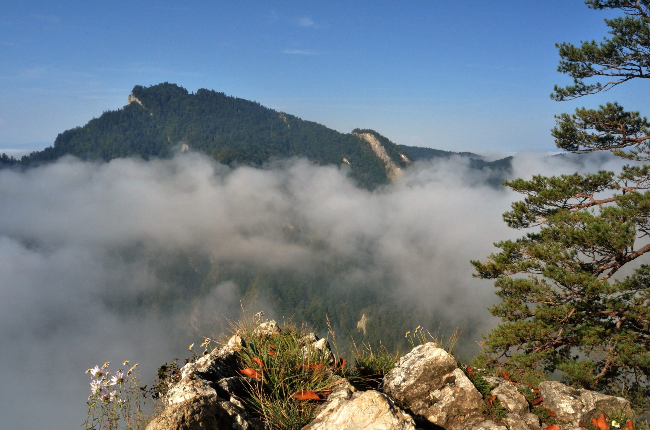 Sokolica, Trzy Korony, Pieniny