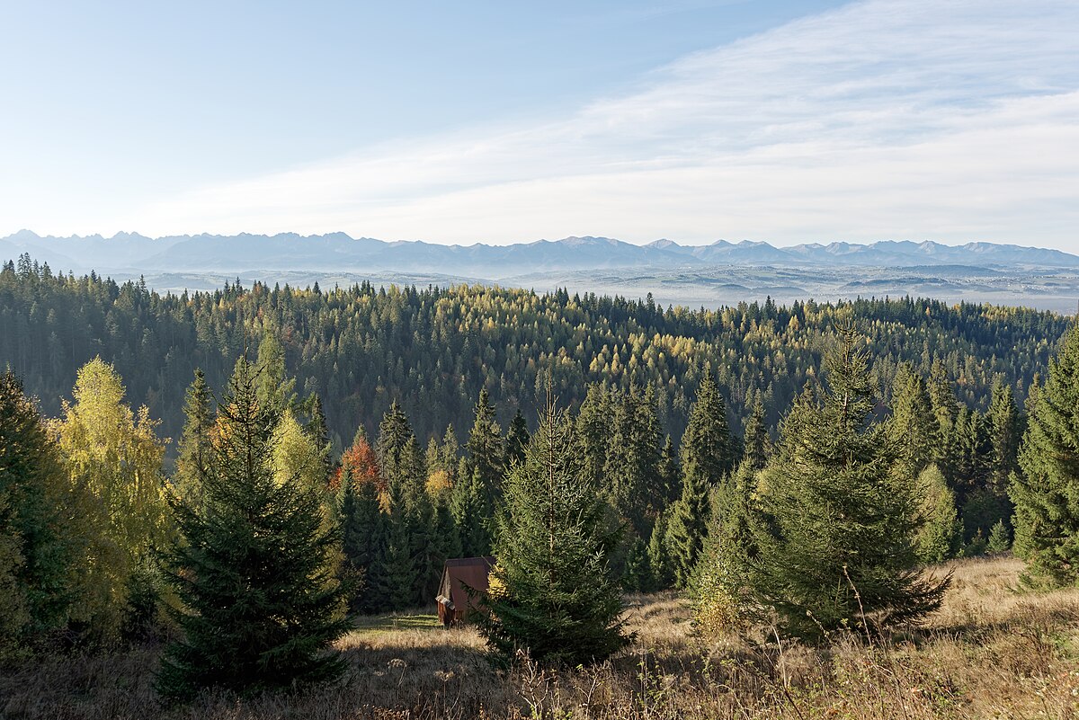 Widok na Tatry, Polana Łukusowa, Gorce