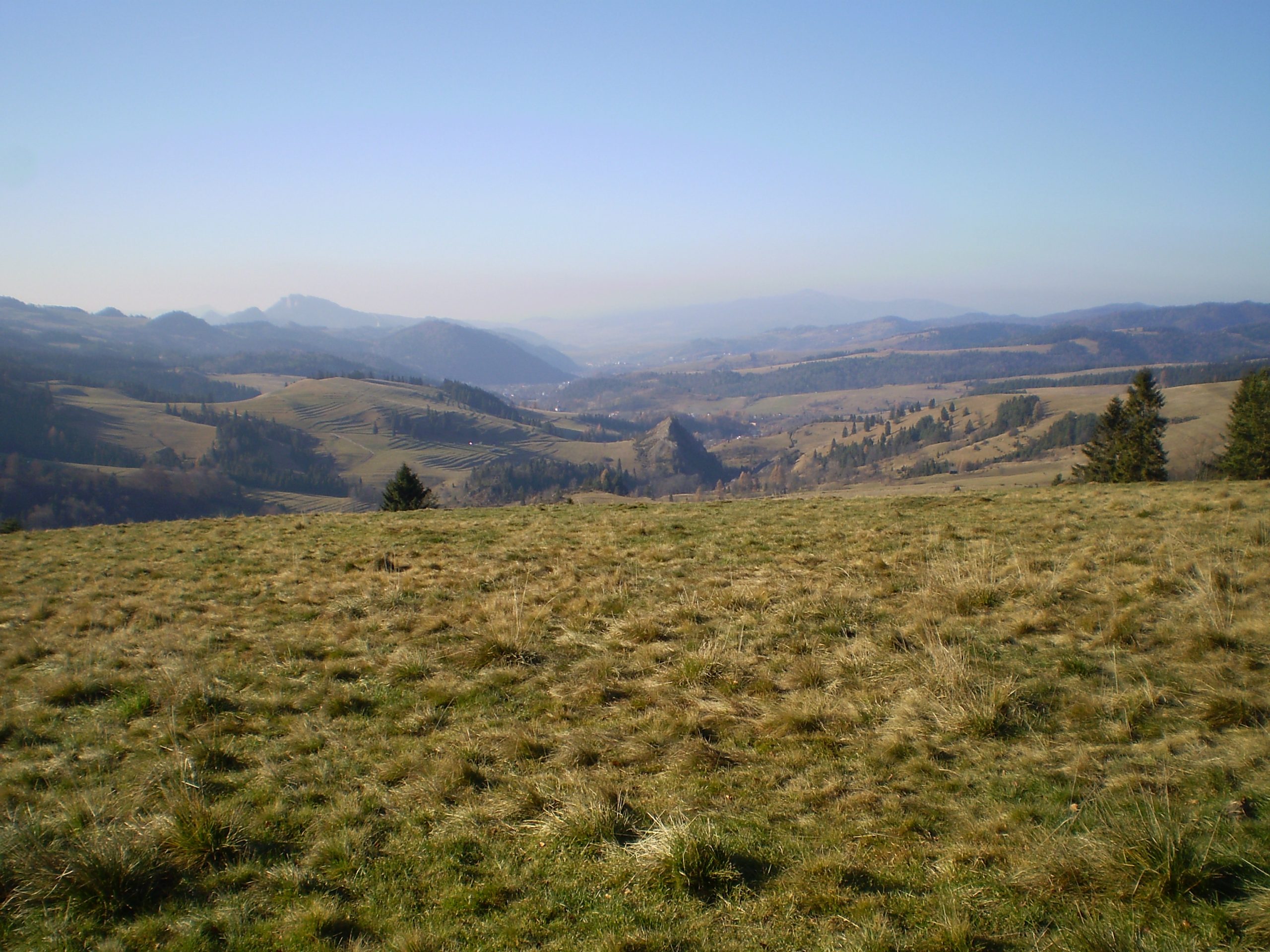 Przełęcz Rozdziela, Pieniny
