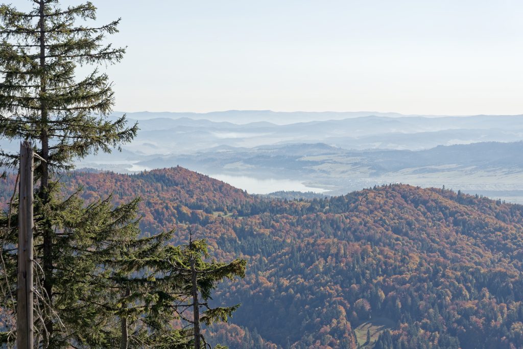 Widok z Turbacza na Jezioro Czorsztyńskie, Gorce